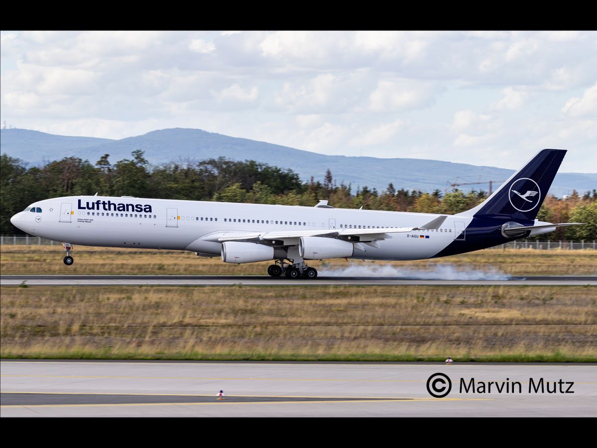 Revell 03803 - A340-300 Lufthansa New Livery | Modellbau