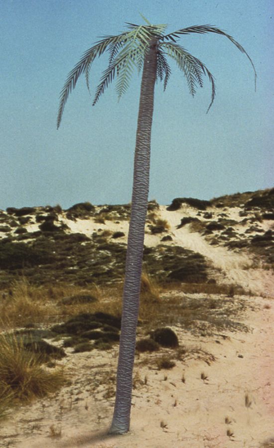 Royal Model RM056 - Palm tree | Modellbau