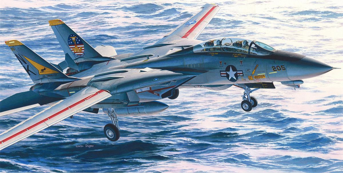 Hasegawa 607246 - 1/48 F14A Tomcat | Modellbau