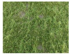 Silhouette 631-21G - Wildwuchs / Wild growth 60x50cm Frühling / spring | Modellbahn | Modelleisenbahn