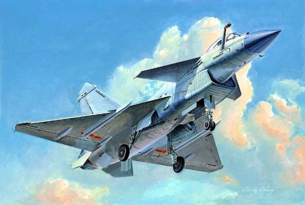 Trumpeter 02848 - 1:48 PLAAF J-10B Vigorous Dragon | Modellbau