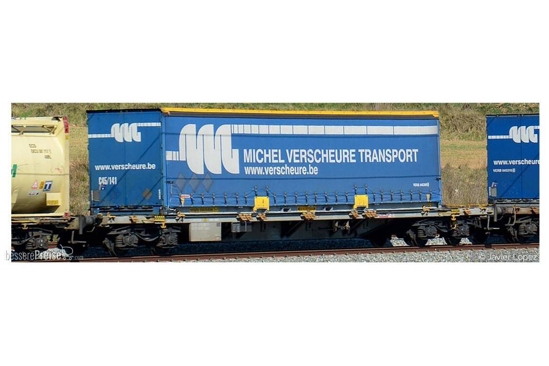 Sgnss HUPAC 096 60 container wagon Swap Body "VERSCHEURE"