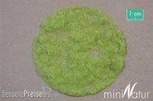 Silhouette 002-21 - Gras-Flock 2 mm Frühling 50 g