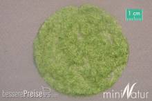 Silhouette 002-23 - Gras-Flock 2 mm Frühherbst 50 g