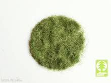 Model Scene 004-03 - Grass-Flock 4,5 mm - Frühsommer