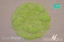 Silhouette 004-11 - Gras-Flock 4,5 mm Frühling 250g
