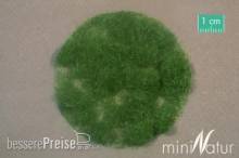 Silhouette 004-12 - Gras-Flock 4,5 mm Sommer 250g