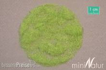 Silhouette 004-21 - Gras-Flock 4,5 mm Frühling 50 g