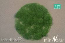 Silhouette 004-22 - Gras-Flock 4,5 mm Sommer 50 g