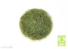 Model Scene 006-03 - Grass-Flock 6,5 mm - Frühsommer