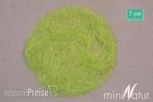 Silhouette 006-11 - Gras-Flock 6,5 mm Frühling 250g