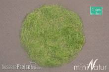 Silhouette 006-33 - Gras-Flock 6,5 mm Frühherbst 50 g