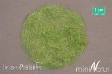 Silhouette 006-43 - Gras-Flock 6,5 mm Frühherbst 1000 g