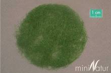 Silhouette 012-02 - Gras-Flock 12 mm Sommer 100 g