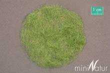 Silhouette 012-33 - Gras-Flock 12 mm Frühherbst 50 g