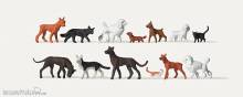 Merten 0212582 - Hunde und Katzen