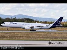 Revell 03803 - A340-300 Lufthansa New Livery
