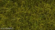 Noch 07110 - Wildgras XL Wiese?
