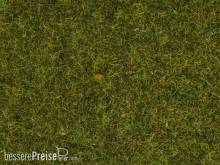 Noch 07117 - Wildgras Wiese