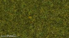 Noch 08361 - Streugras Wiese