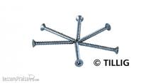 Tillig 08976 - Mini-Holzschrauben: 1,4 mm x 15 mm (Beutel à 100 Stück)