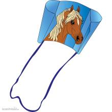 HQ 100080 - Sleddy Pony