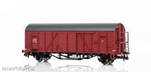 NMJ 1007336 - NMJ Topline HNJ G 1613