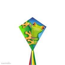Ecoline 102121 - Eddy Froggy - Kinderdrachen, ab 5 Jahren, 70x58cm, inkl. 17kp Polyester Schnüre, 40m