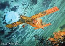 Roden 439 - Fairchild AU-23A Peacemaker