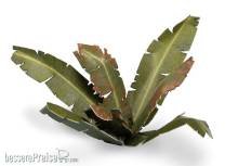 Gamers Grass GGLP-BT - Banana Tree