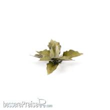 Gamers Grass GGLP-PL - Plantain Lily