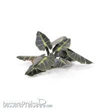 Gamers Grass GGLP-BMT - Black Magic Taro
