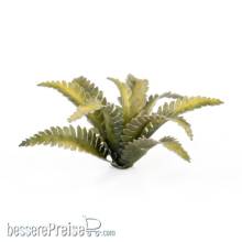 Gamers Grass GGLP-DF - Deer Fern