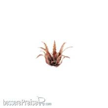 Gamers Grass GGLP-RA - Red Aloe