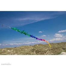 HQ 126430 - Fransenschwanz Rainbow
