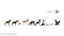 Noch 12852 - Hunde