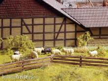 Noch 13040 - Weidezaun