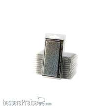 Gamers Grass GGFS-FMN - Forget-me-not Tiny Flowers