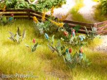 Noch 14056 - Feld- und Wiesenpflanzen