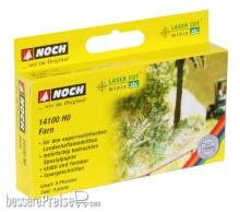 Noch 14100 - Farn