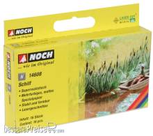 Noch 14608 - Schilf