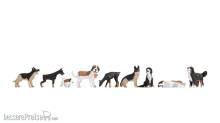 Noch 15717 - Hunde
