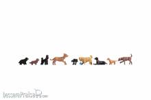 Noch 15719 - Hunde