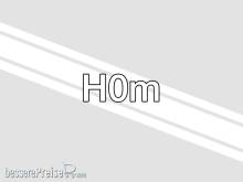 Halling UPG-H0M - Upgrade eines HALLING-Modells auf H0m