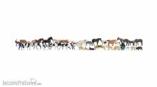 Noch 16049 - Mega-Spar-Set Tiere