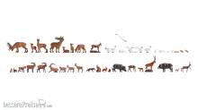 Noch 16053 - Mega-Spar-Set Wildtiere
