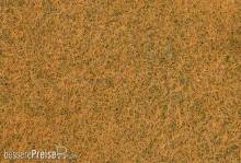Faller 170210 - Streufasern Wildgras, verdorrt, 4 mm, 30 g