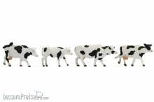 Noch 17900 - Cows black-white