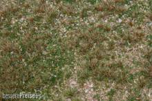 Faller 180479 - PREMIUM Landschafts-Segment Wildkräuterwiese