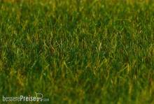 Faller 180485 - PREMIUM Streufasern, Gras, dunkelgrün, 6 mm, 30 g